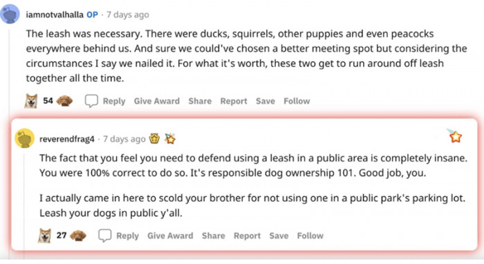 The leash was necessary