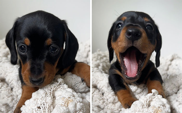 "That Face"