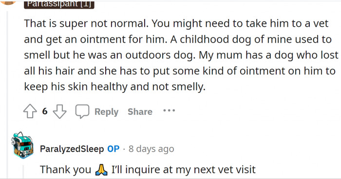 Redditors agree that they need to see the vet again