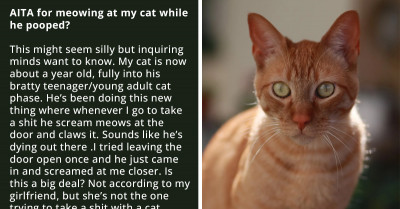 Frustrated Owner Meows At The Cat While It's On The Litter Box To Demonstrate How Annoying It Is To Have Someone "Yell" While In The Bathroom