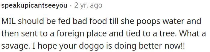 OP's MIL's Behavior Is Unacceptable