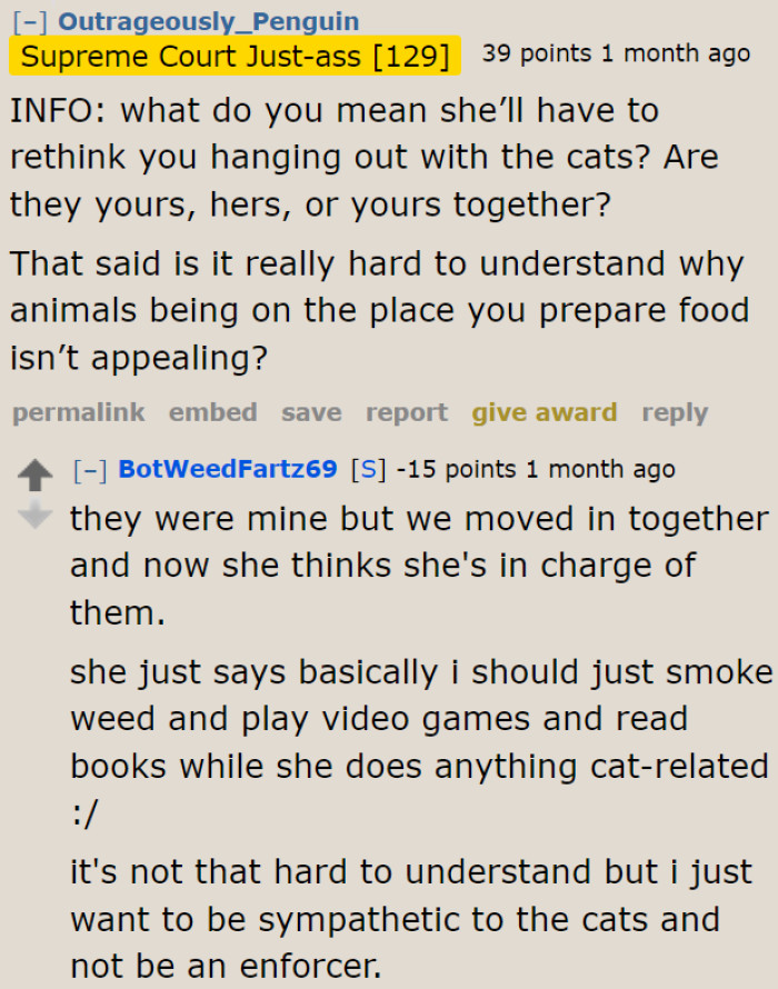 The girlfriend wants to take over the cat duties if he insists on letting the cats on the counter.