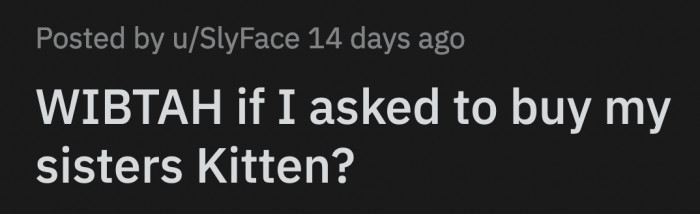 Kristine and Martin weren't thrilled to have Pumpkin, and taking care of her made them realize they wanted a dog instead