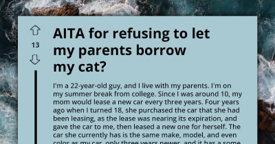 Young Man Mistypes Cat Instead Of Car, Disappoints Redditors Post Wasn't About Shared Family Cat With Built-In GPS Screen