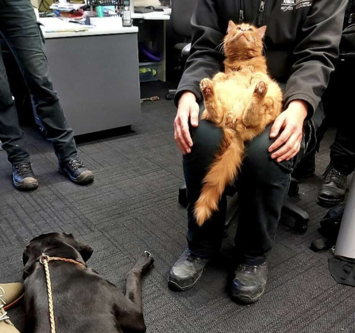 Colin has quickly become one of the shelter’s most popular staff members