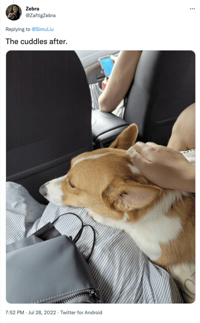 9. Take your dog to the dog park if you want to get as many cuddles as possible.