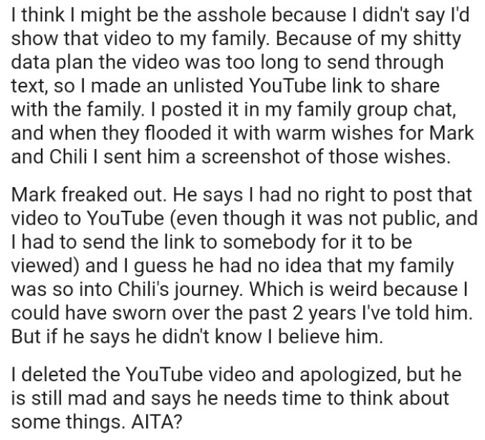 The OP Guessed Her Friend Had No Idea That Her Family Was So Into the Rescued Cat's Journey, Which Is Weird