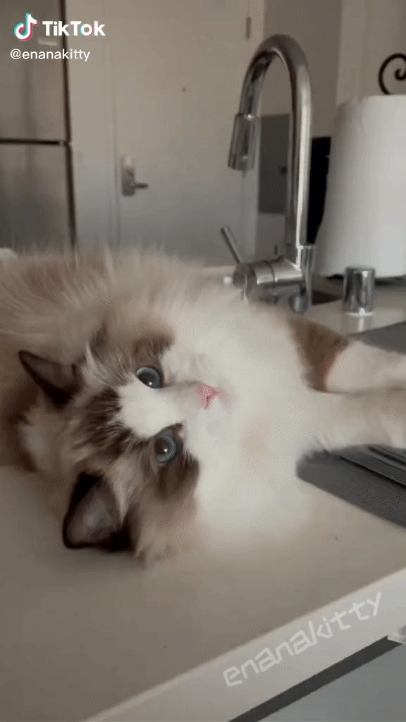 Here's a video of Ena just being adorable...