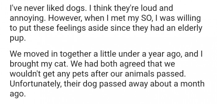 We had both agreed that we wouldn't get any pets after our animals passed