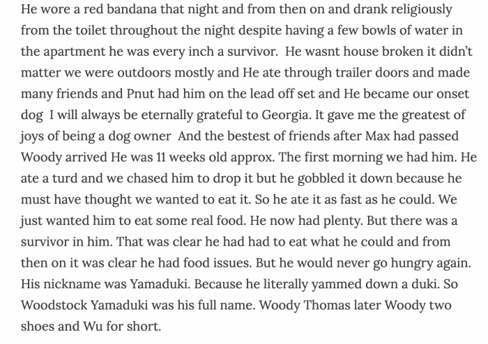 Woodstock Yamaduki was finally safe and Tom has a new best friend after Max's passing