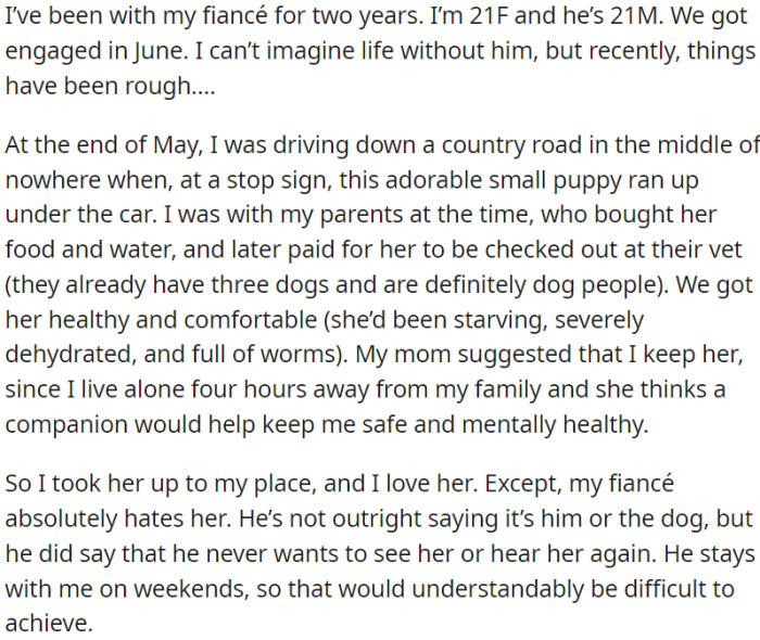 OP chooses to adopt an abandoned puppy, yet her future husband is deeply unsettled by this decision. He strongly dislikes the puppy and makes his feelings clear. This situation becomes intricate, particularly since he frequently stays over at OP's place on weekends.