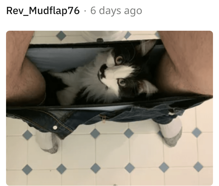 22. Why have you been hiding this amazing spot?