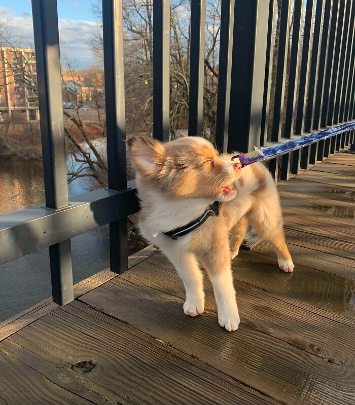 "Dramatic Because The Wind Hit His Face"