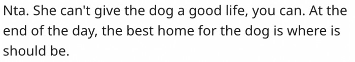 15. The dog should be with whoever can guarantee a good life.