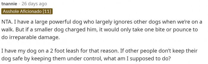 It's important to leash your dog so that you remain in control of them at all times. They are unpredictable.