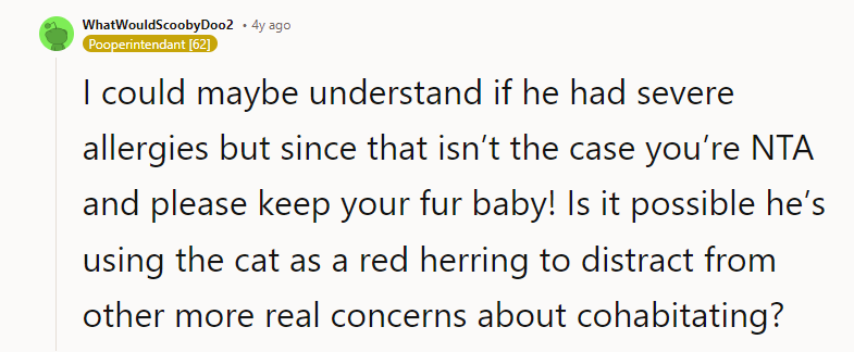 NTA and please keep your fur baby!