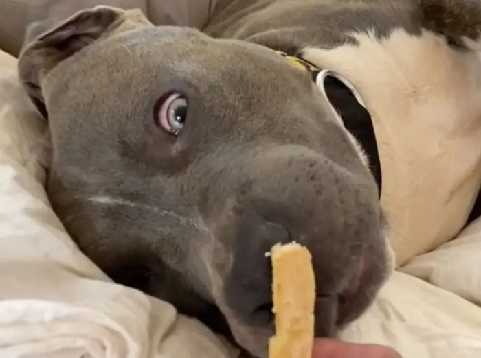 2. This Star Trooper