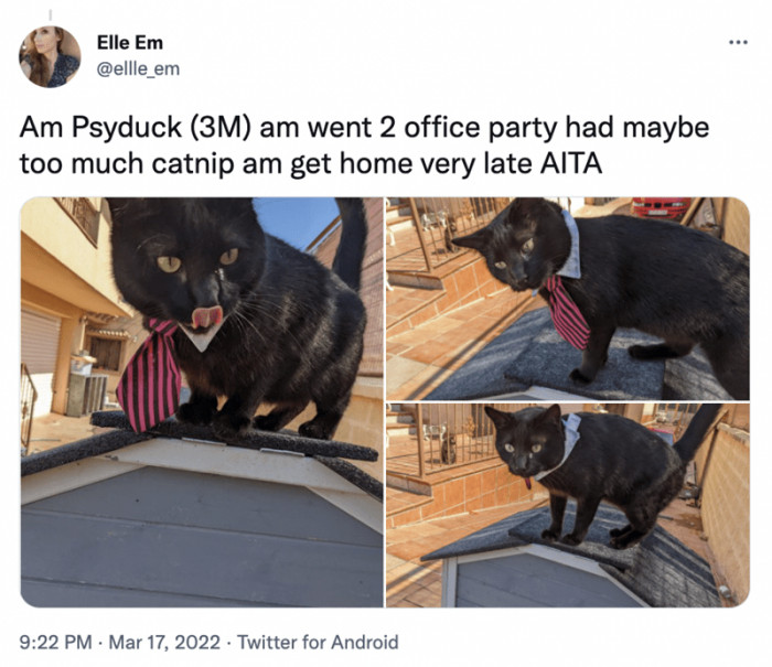 7. Oh Psyduck, you got your pawrents worried. Don't do that, okay? Leave a message...