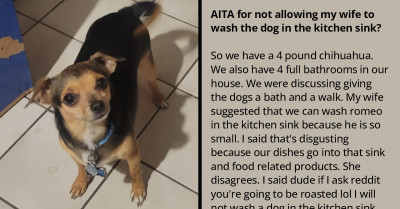 Redditor Refuses To Let Her Wife Wash Their Chihuahua In The Kitchen Sink Because She Claims It's Unsanitary