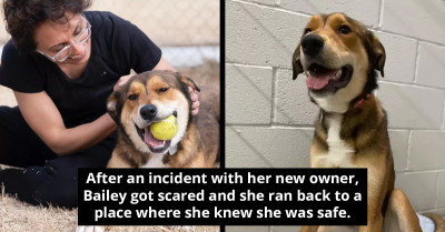 Familiar Face Shows Up At The Animal Shelter's Door In The Middle Of The Night