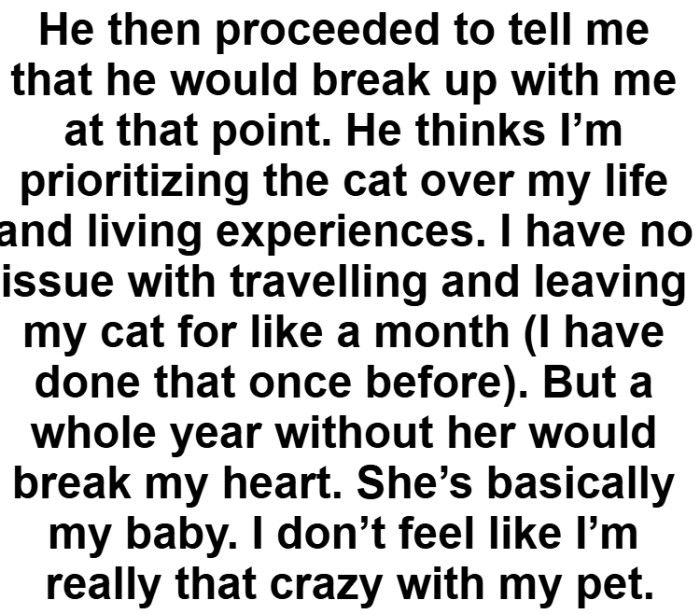 The OP can leave her cat behind for a month but not for a whole year