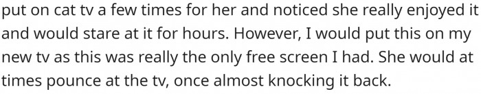 OP figured it was less dangerous than playing it on TV because the cat was pawing at it and it could fall