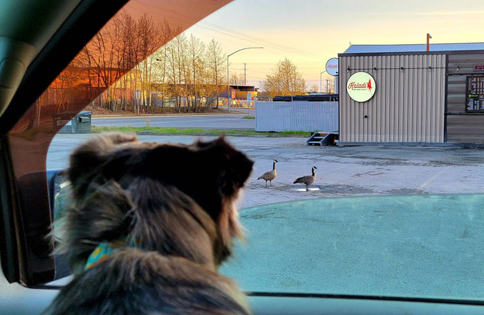 Heath says his girlfriend takes care of one elderly woman who he called Mrs. Riddle