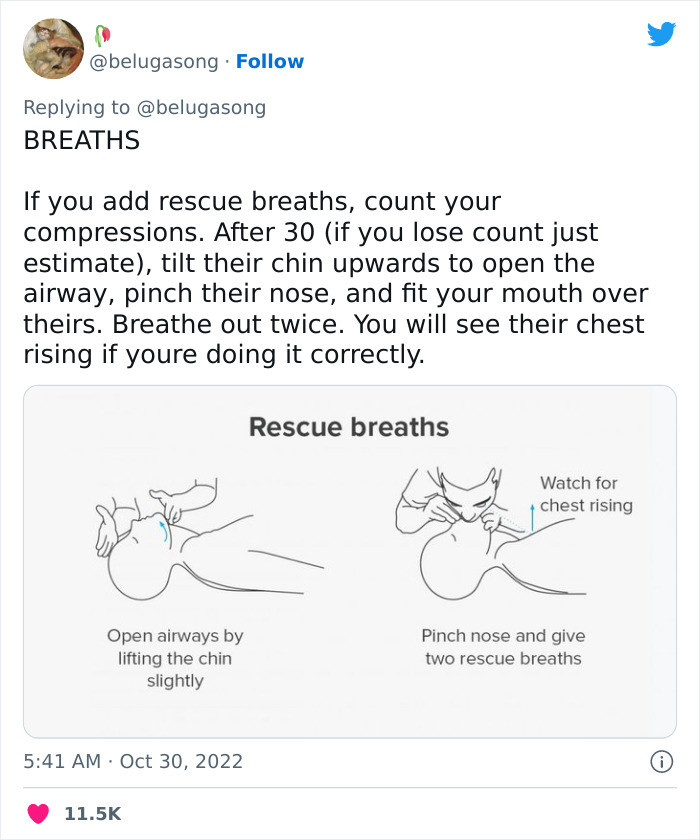 Rescue breaths. Here is a step-by-step guide.