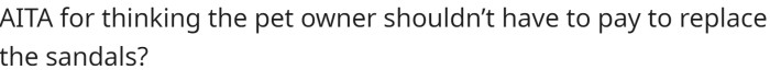 Is the dog owner responsible for the damages?