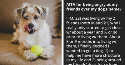 Redditor Asks If He Is Wrong Being Angry With Friends For Renaming His Dog
