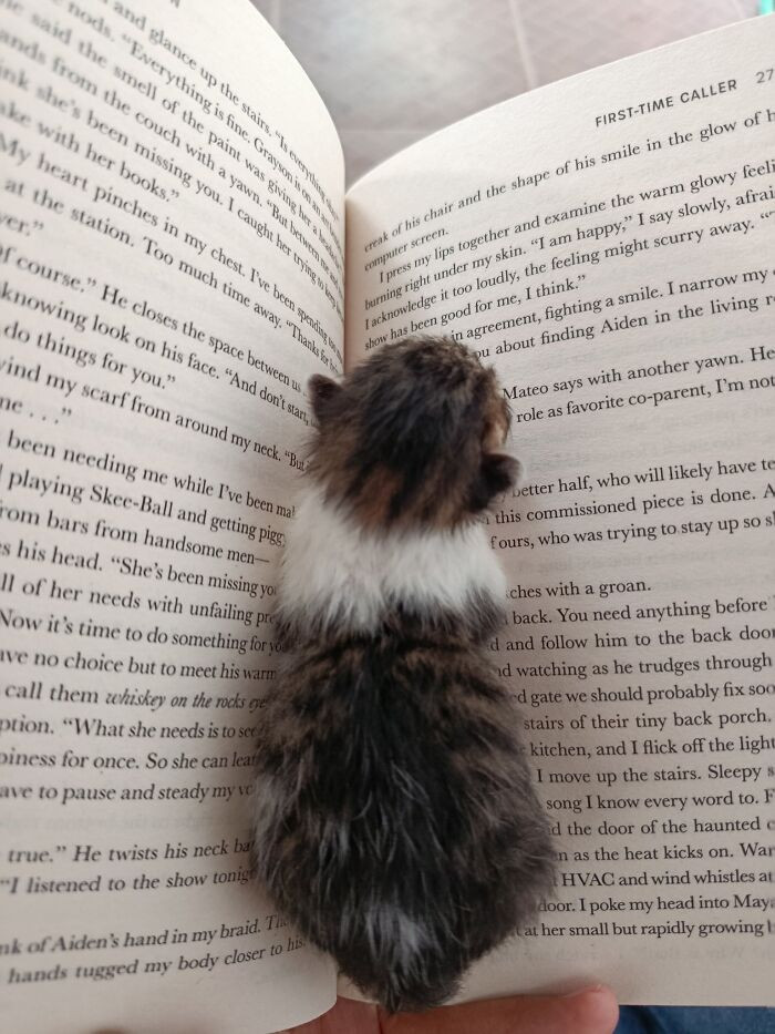 "My New Bookmark"