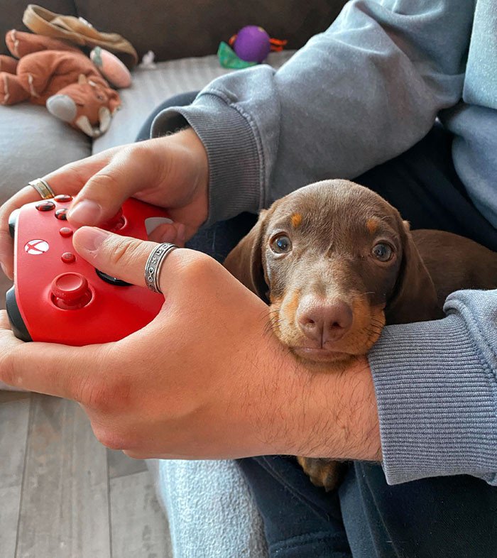 "Gaming With My Dad"