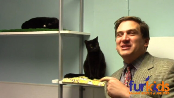 It is made by Furkids, an Atlanta-based animal rescue