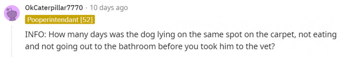 This Redditor Needs More Information on the Dog's Behavior