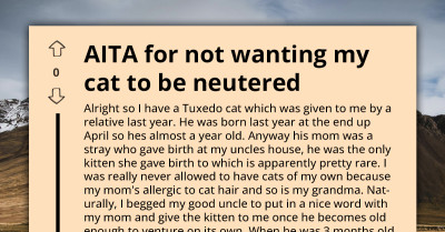 Tuxedo Cat Keeps Peeing On Family Beds - And The Owner Refuses To Neuter Him