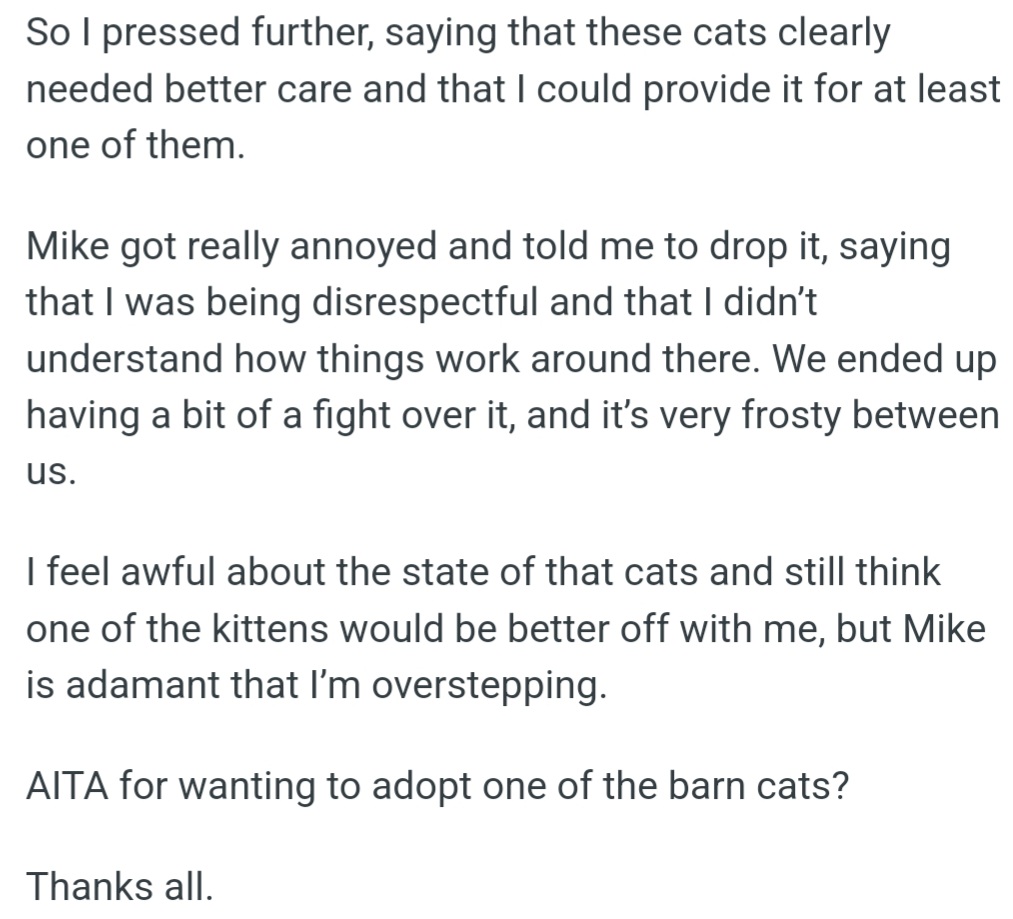 However, OP pushed to adopt a barn cat, but Mike got angry, saying she didn't understand. They argued, and now things are tense. OP still believes the cat would be better off with her, but Mike refuses.