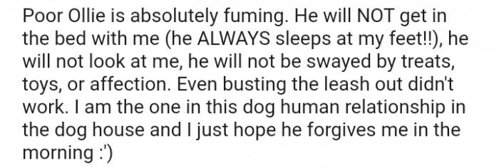 I am the one in this dog-human relationship