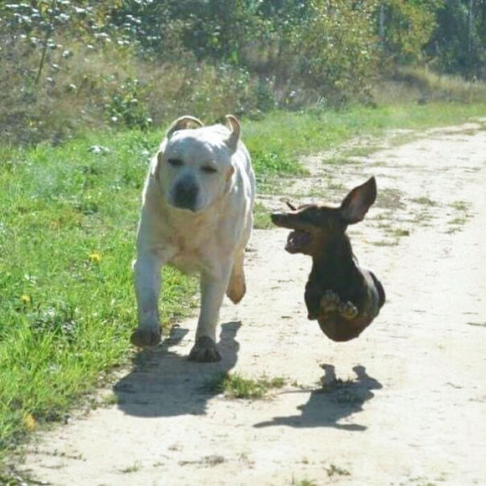 "That's One Athletic Sausage"