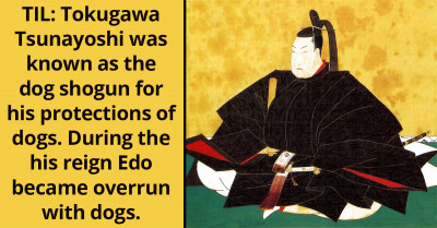 Redditor Shares A Story About A Shogun Who Became The Cause Of Dog Overpopulation In Japan