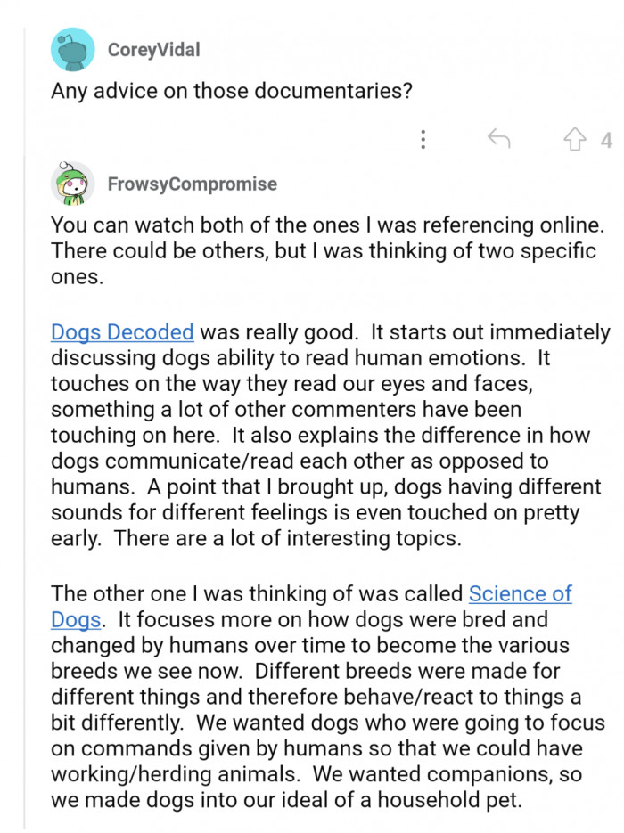 Pet owner practicing mindfulness while watching cat or dog’s body language