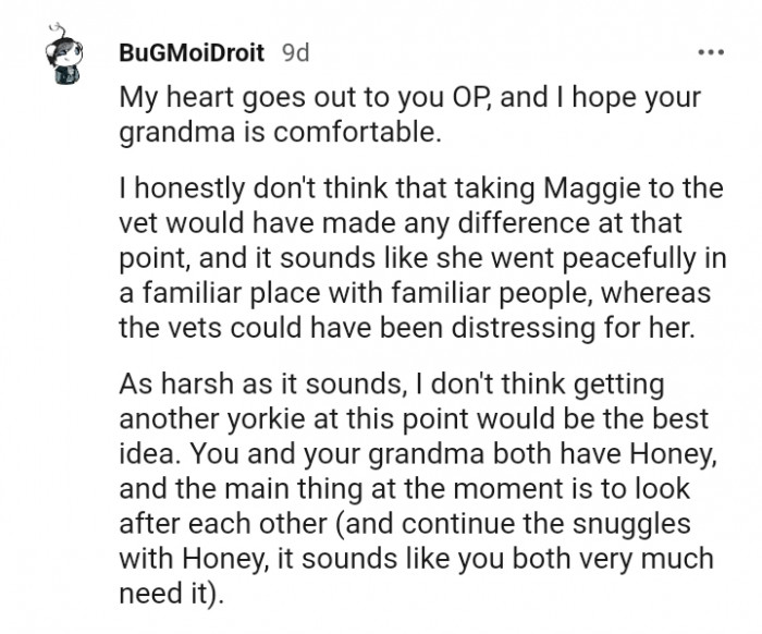 Taking Maggie to the Vet Would Have Made a Difference at That Point, According to This Redditor