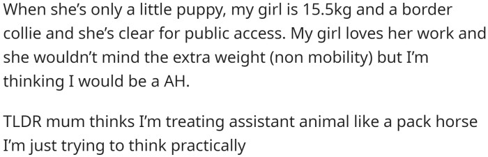 However, his mother disagrees with his plan, stating that he would be treating the puppy like a pack horse. The puppy is a 15.5-kilogram border collie and is cleared for public access.