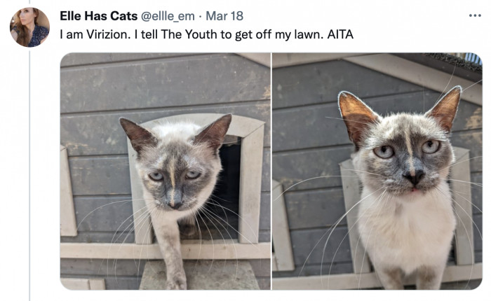 Those loud kids keep ignoring my ‘don’t step on the grass’ sign