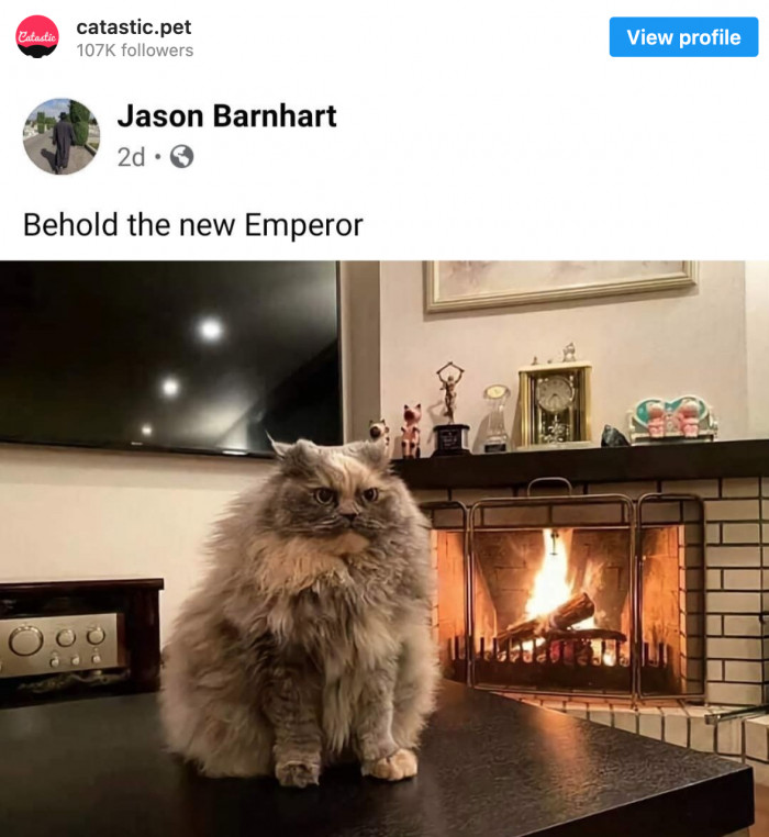 15. Honor the new emperor during this feast.