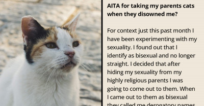 Redditor Takes Cats Along After Being Disowned By Parents Because Of Sexuality, Gets Bashed By Family Members