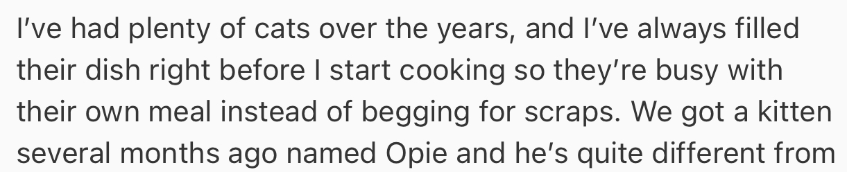 OP is a big-time cat lover, and they’ve had many cats over the years. Recently, they added a kitten (Opie) to that list