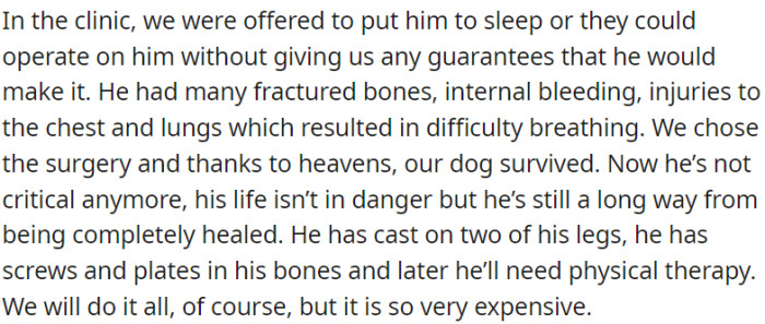 In the clinic, faced with the choice of euthanasia or uncertain surgery for a severely injured dog, they opted for surgery, thankfully leading to his survival.
