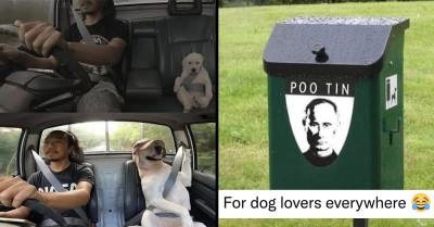 A Compilation Of Social Media Posts About Cats And Dogs That Are Definitively The Best