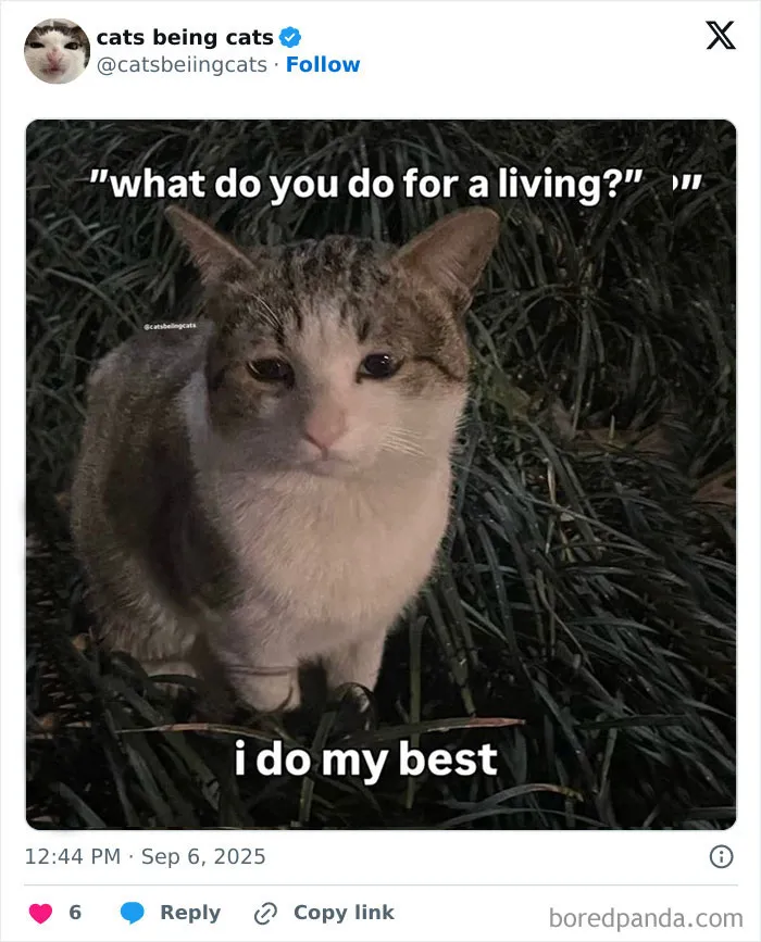 47. Clocked in for the bare minimum and still exhausted.