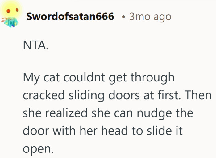 This take added a dose of reality. Once a cat learns the trick, a tiny gap becomes a full exit.